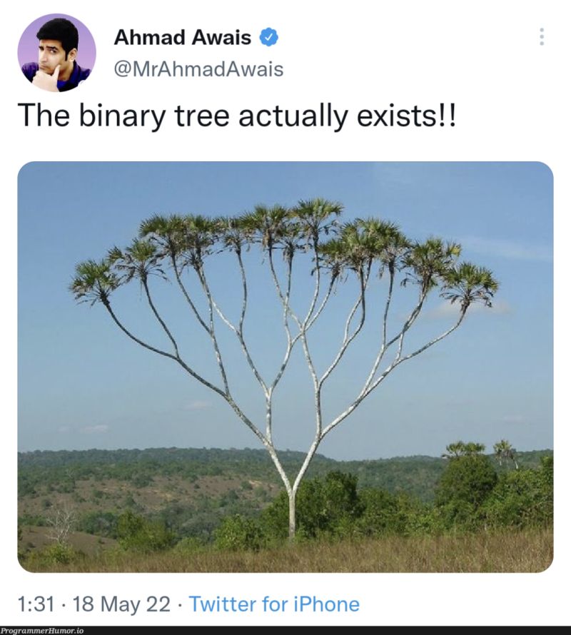 Inverting Binary Trees Won T Always Help You In Real Life Programmerhumor - Classic Sunset Pattern - 8K