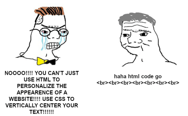 TW HTML/CSS – ProgrammerHumor.io