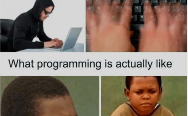 WhatIsThisLife – ProgrammerHumor.io