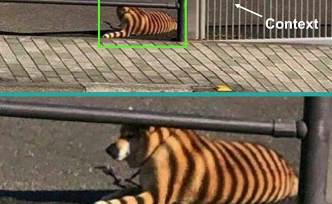 AI Will Take Over The World? – ProgrammerHumor.io