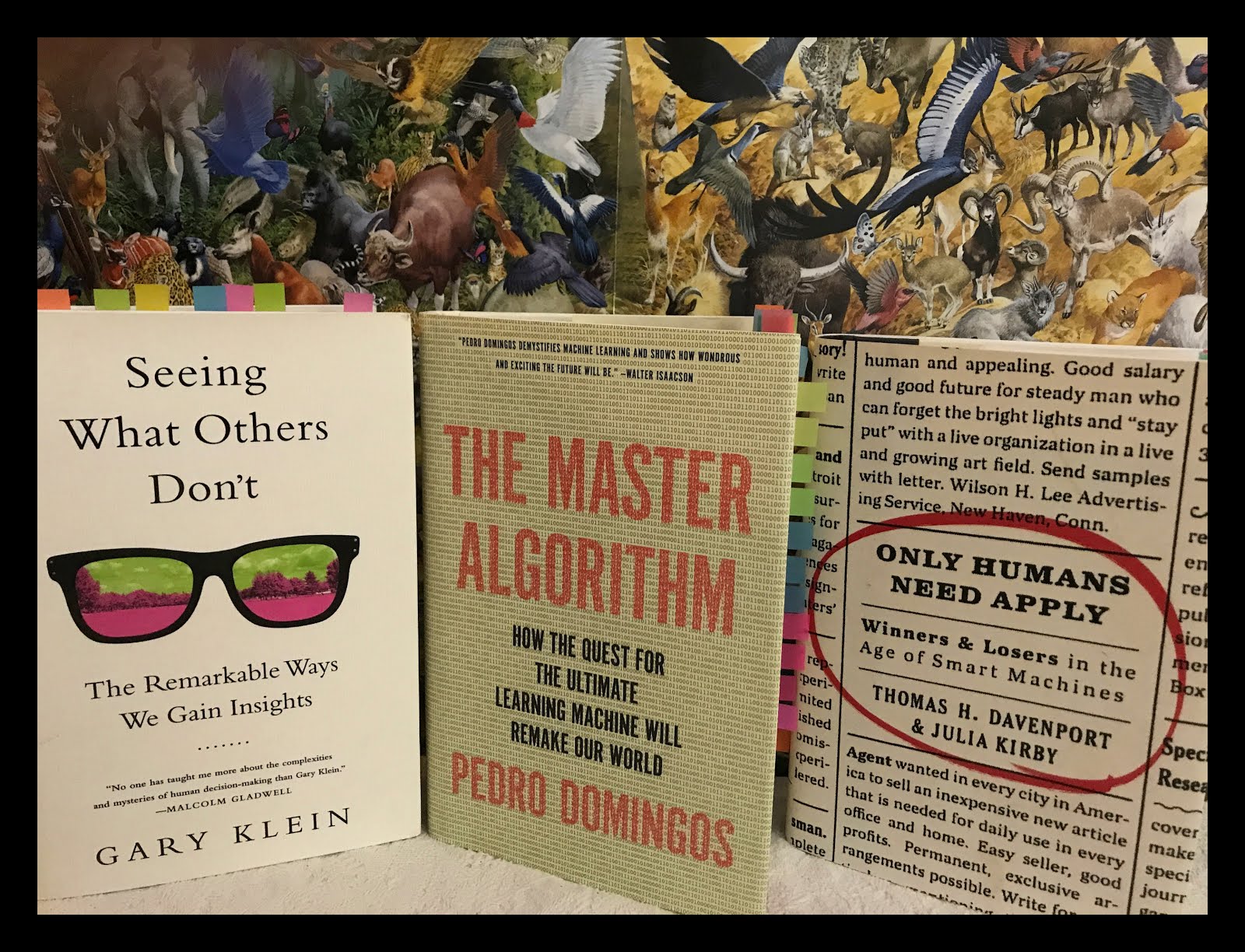 1b3daalgoframedfin Programming Digressions