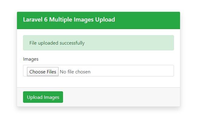 Multiple Image Upload in Laravel 6 Full Steps with Validation