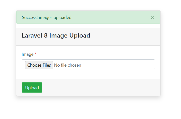 Laravel 8 Multiple Images Upload with Validation - Programming Fields