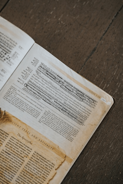 Understanding Project 2:17