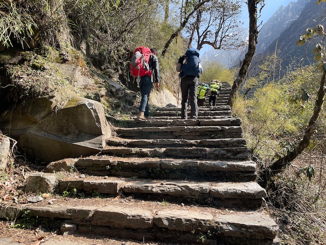 Many stairs on this trek!