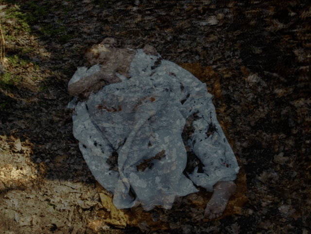 Sonus ex Machina & Invisibility