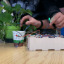 Semi Automted Irrigation System | Arduino Project Hub