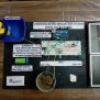 Smart Irrigation System | Arduino Project Hub