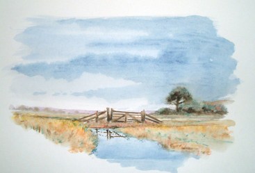 watercolour brushes paint projects