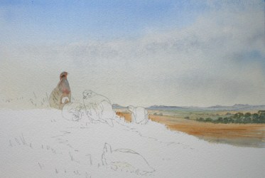 evans charles projects