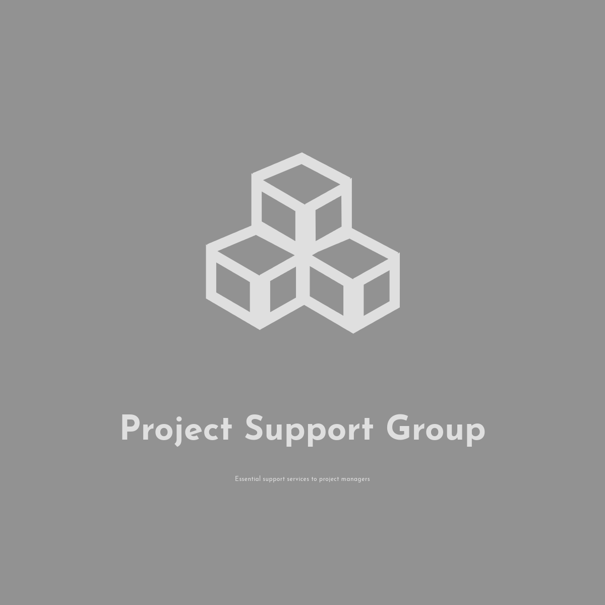 Project Support Group Logo