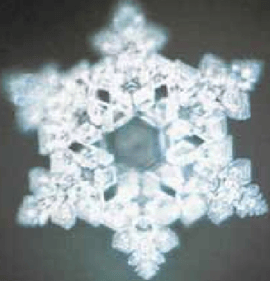 Felicidad O poder da Agua Masaru Emoto Conrado Lopez
