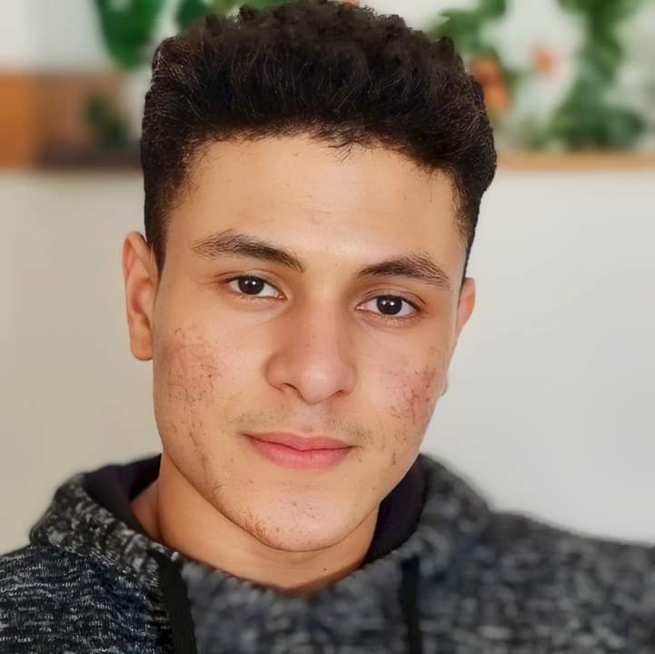 Projetos Alisson Alisson Soares Github - Geometric Pictures - Elegant 8K Collection