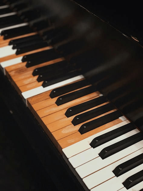 Top 5 Digital Pianos for Beginners