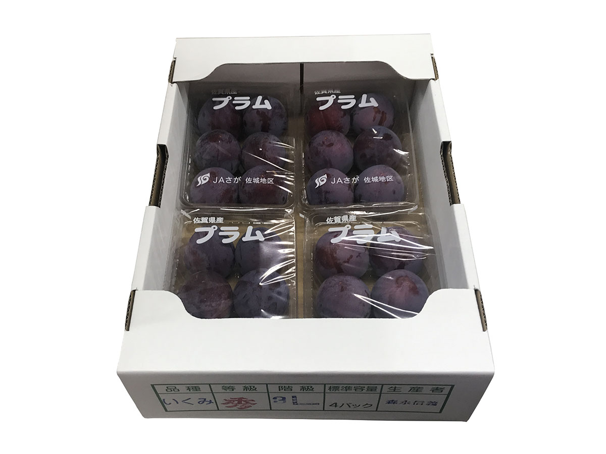 佐賀県産 すもも（プラム） | 業務仕入・見積なら食品卸売の生鮮卸売市場
