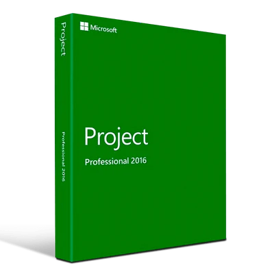 project 2016 professional