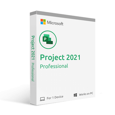 project 2021 professional
