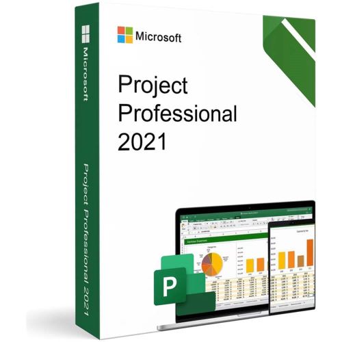 project professional 2021 pc