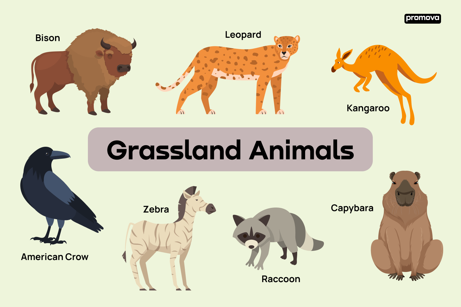 Grassland animals: a comprehensive grassland animals list