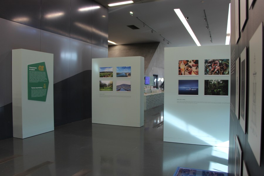 Cimaises mobiles pour l'exposition je mange donc je suis