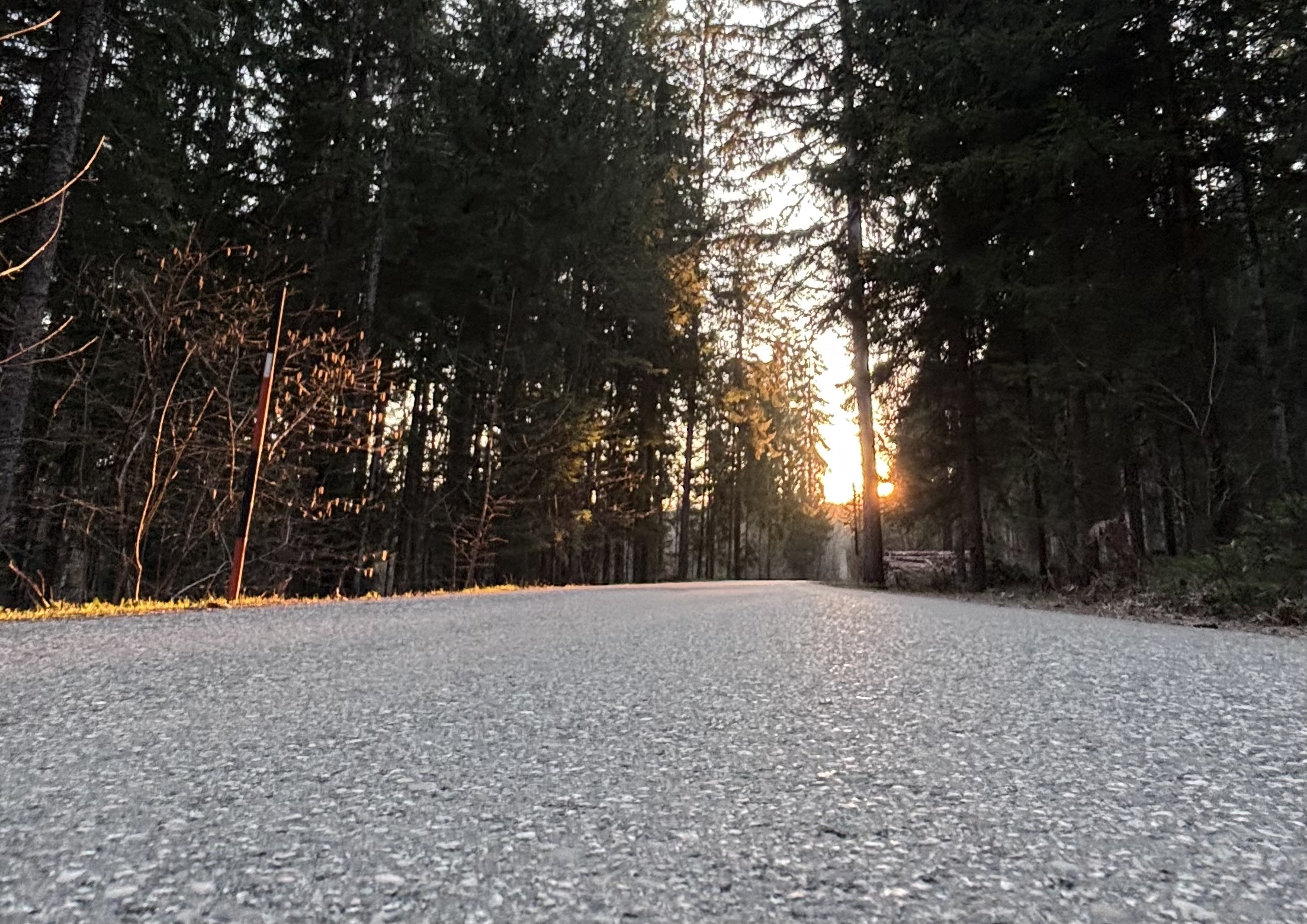 Windy Day around the Lake