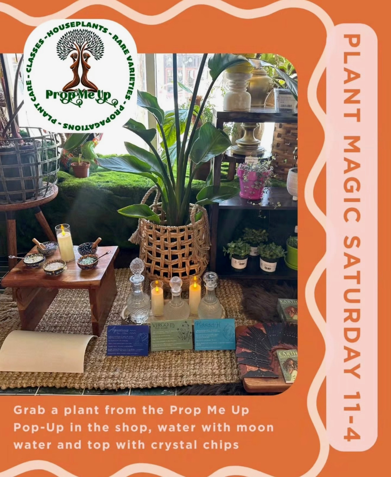 Plant Popup At Sun-Rising