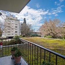 2055-Pendrell-34 2055-Pendrell-34