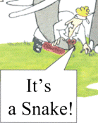 Plain language requires attention to the writer’s organization