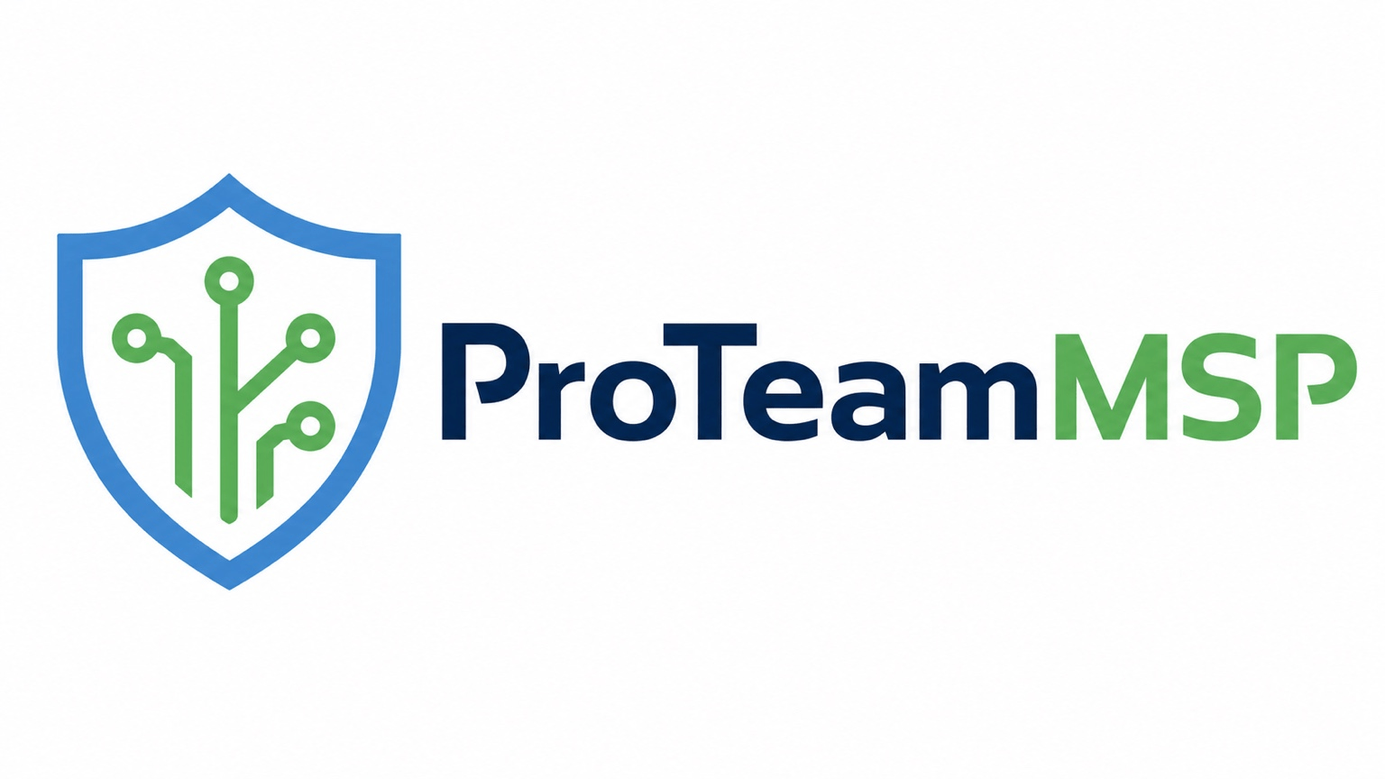 ProTeamMSP