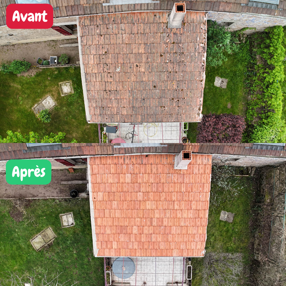 Avant et après : Toiture fortement colonisée