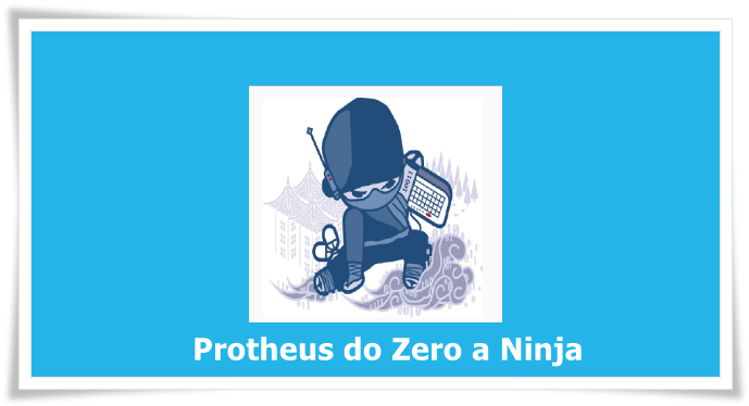 Protheus do Zero a Ninja