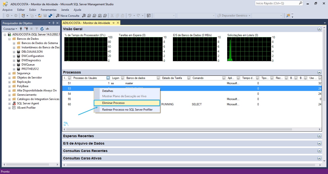 Eliminar Processo SQL Server