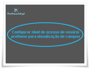 Configurar nível de acesso de usuário protheus para visualização de campos