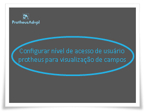 Configurar nível de acesso de usuário protheus para visualização de campos