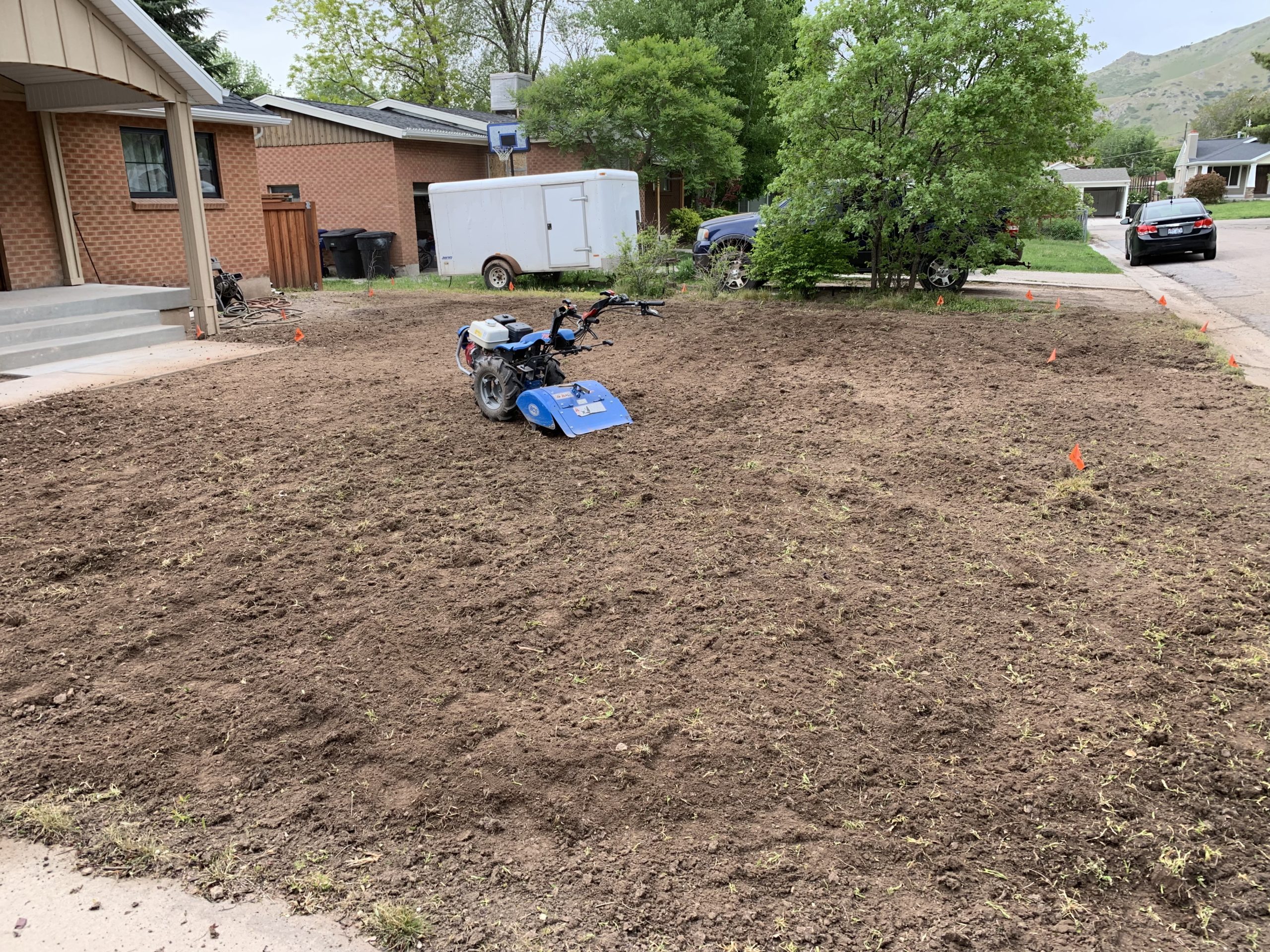Sod & seed preparation