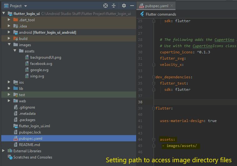 Flutter Login Register Page Ui Design Adobexd Using Velocity X Library - Premium Vintage Picture Gallery - HD