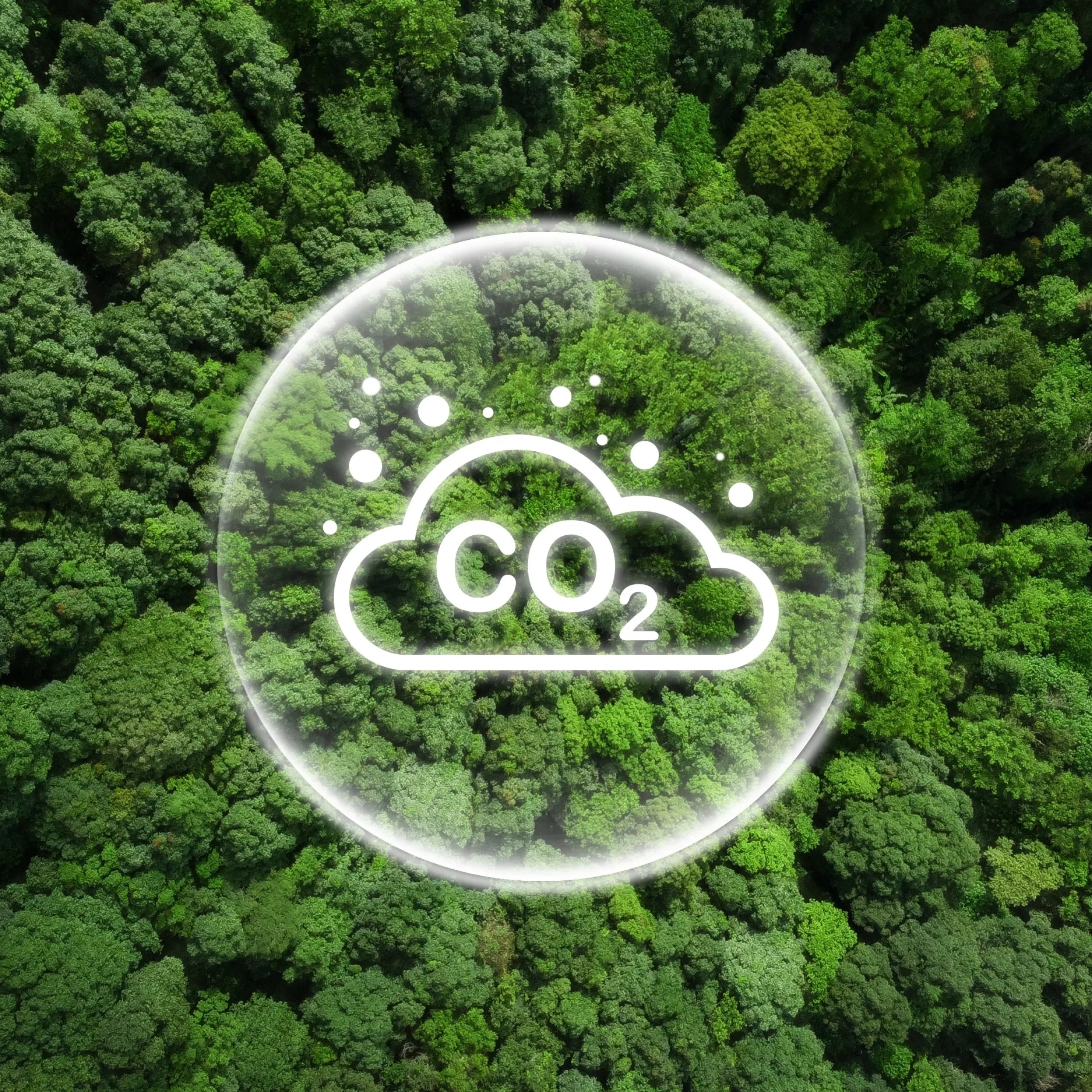 Policy Review: Kenya’s Draft Carbon Registry Regulations, 2025 – Aligning with Global Carbon Market Norms