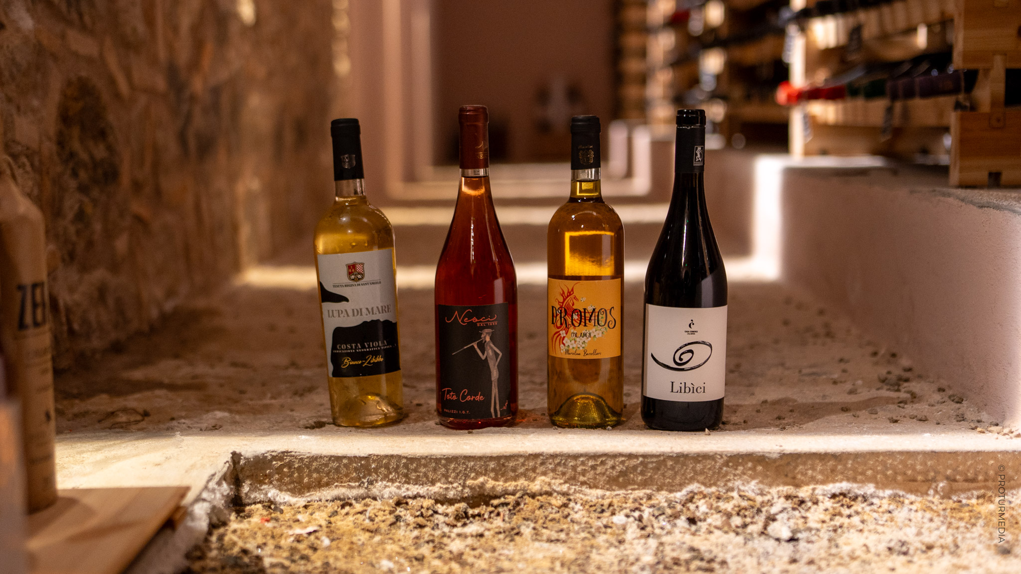 Quattro bottiglie di vino calabrese allineate su un gradino in pietra all'interno di una cantina, tra cui un bianco Costa Viola IGT da uve Zibibbo e un rosato Palizzi IGT.