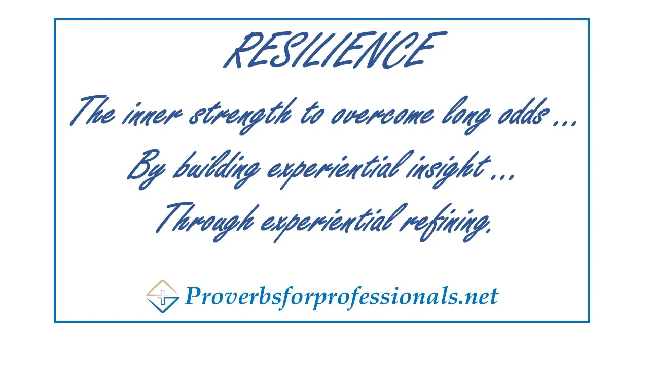 Definition of resilience as used in the post Three Buckets of Insight