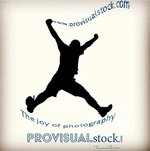 ProVisualStock Logo