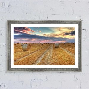 Framed print on a wall, featuring the ProVisualStock prints gallery