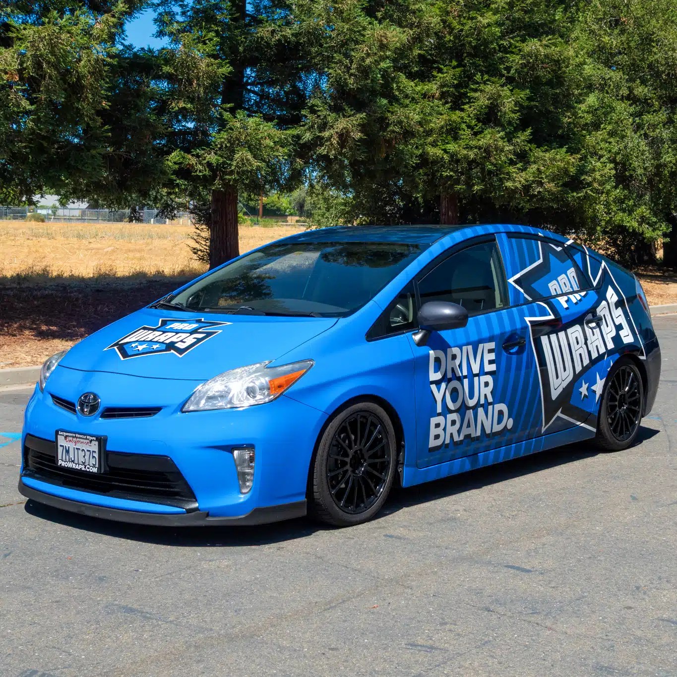 ProWraps Toyota Prius vehicle wrap, full wrap example for webpage