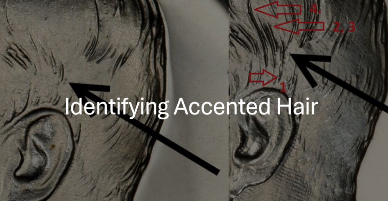 未使用 Calzoleria Harris ホールカット 8 グレーパティーヌ Accented Hair” Variety of JFK Half Dollar – Proxiblog Coin News