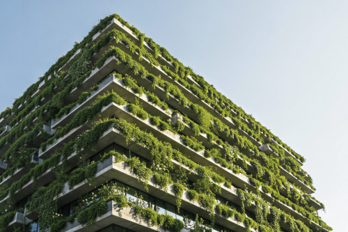 edificio-verde-con-exuberante-jardin-vertical