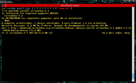 -bin-bash_007