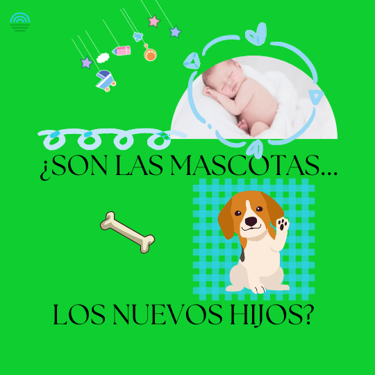 mascota