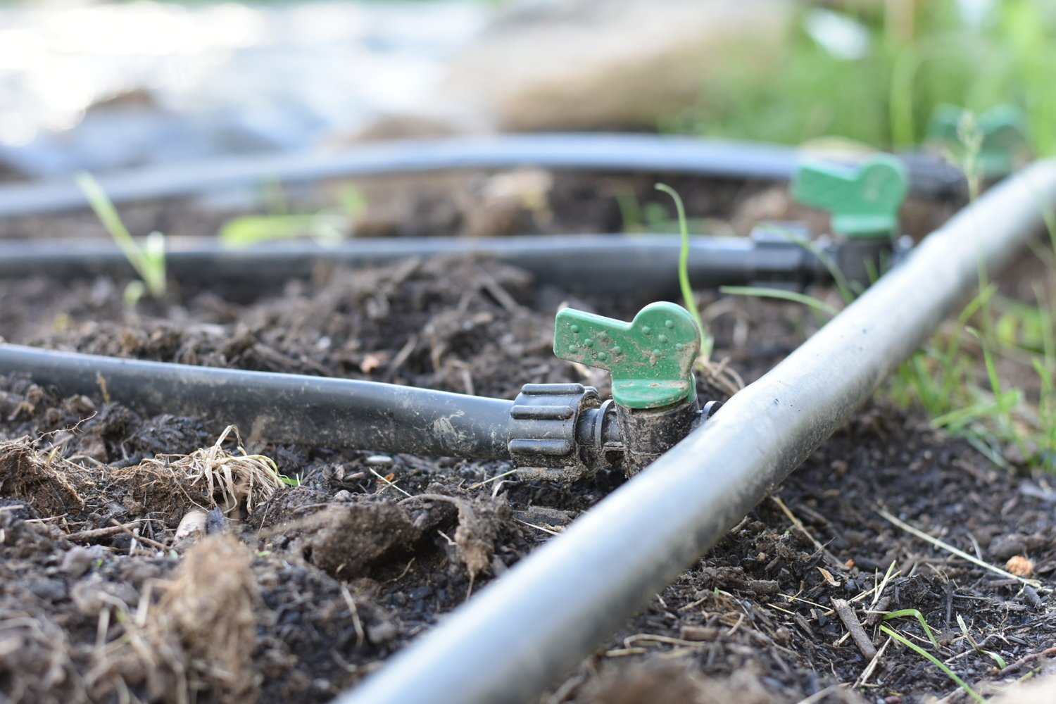 Drip irrigation benefits
