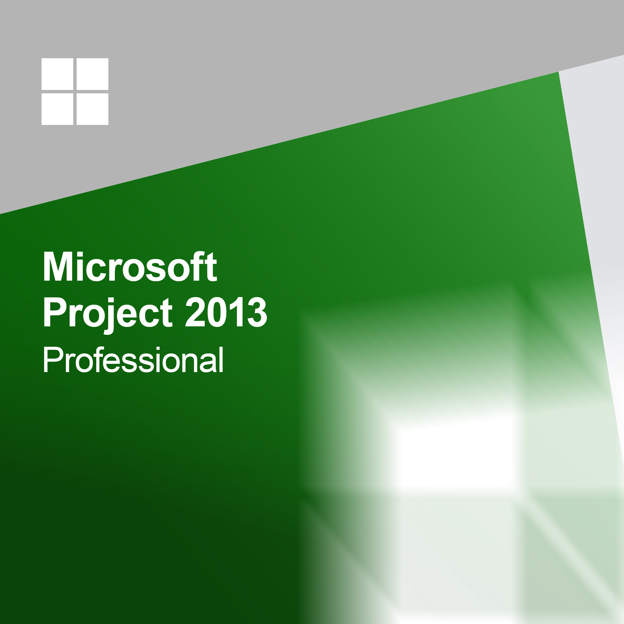 Microsoft Project 2013 Professional