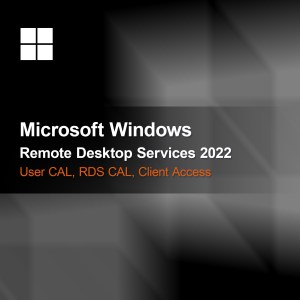 Microsoft Remote Desktop Services 2022 User CAL