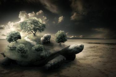 photoshop surreal tutorials manipulation turtle pxleyes amazing photomanipulation tutorial photomanipulations